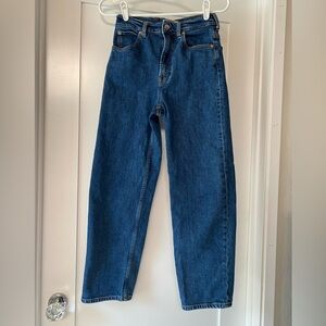 Everlane the Way High Denim Jeans